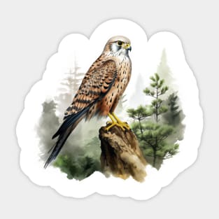 Kestrel Sticker